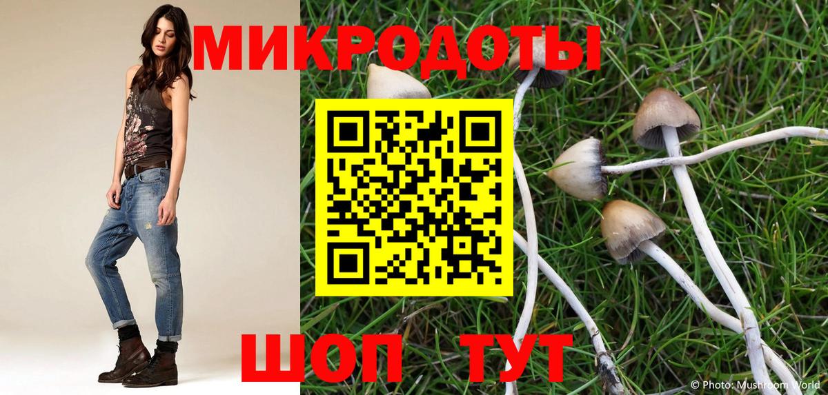 Псилоцибиновые грибы Psilocybine cubensis  Псилоцибиновые грибы прущие грибы  Нижнекамск  купить наркотик  Вход с VPN 