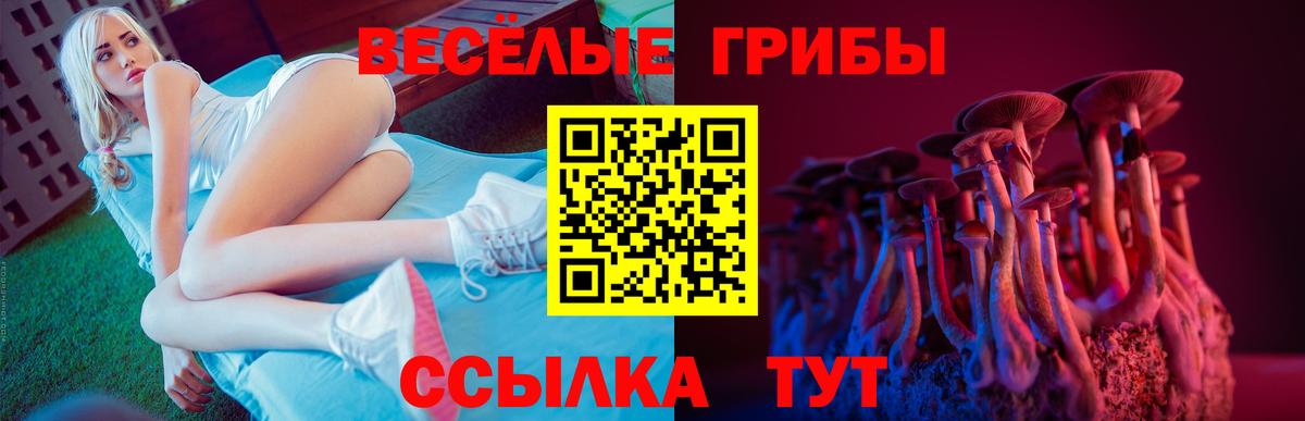 Псилоцибиновые грибы MAGIC MUSHROOMS Нижнекамск